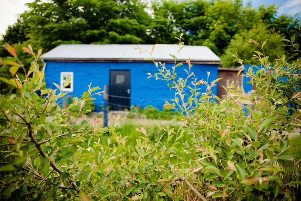 The Snowdon Inn - Y Fricsan Cwm-y-glo 객실 사진